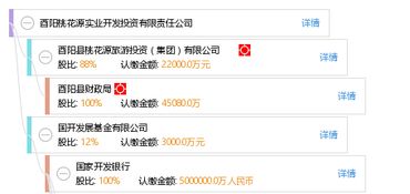 酉陽桃花源實業開發投資有限責任公司 投資興辦實業的戰略與實踐