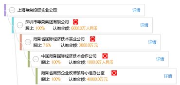 上海尊榮投資實業公司 實業投資之路與戰略實踐